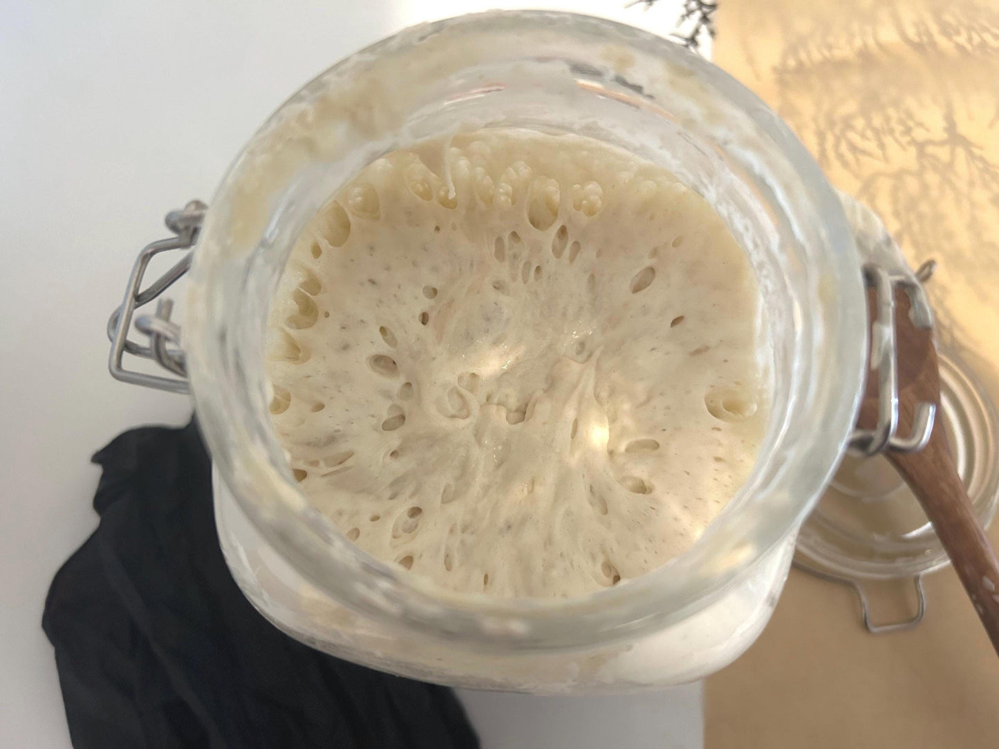 100+ Year Old Authentic Italian Liquid Sourdough Starter